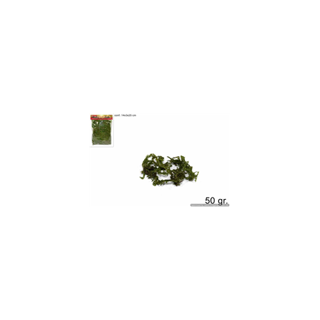 MUSCHIO BUSTA 50GR