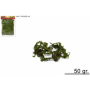 MUSCHIO BUSTA 50GR