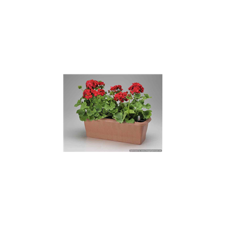 FIORIERA RETT.PAGLIA 60CM ANTRACITE