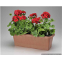 FIORIERA RETT.PAGLIA 60CM ANTRACITE