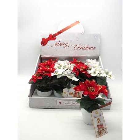 VASETTO BIANCO C/3STELLE DI NATALE GLITT