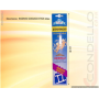INCENSO ZODIACO GEMELLI 20PZ