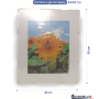 CORNICE A GIORNO 40X50 "APPLY" CRILEX