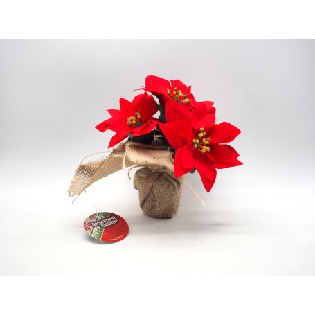 PIANTA STELLA NATALE ROSSA H.19CM
