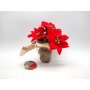 PIANTA STELLA NATALE ROSSA H.19CM