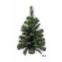 ALBERO PINO H54