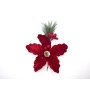 STELLA NATALE VELLUTATA C/PINO E BACCHE