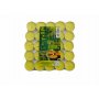 CITRONELLA TEALIGHT 25PZ