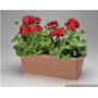 FIORIERA RETT.PAGLIA 60CM ANTRACITE