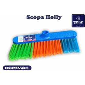 SCOPA HOLLY NG