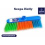 SCOPA HOLLY NG