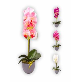 ORCHIDEA VASO CONICO GRIGIO 51CM ASS