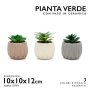 PIANTA VERDE C/VASO CERAMICA 10X10X12H