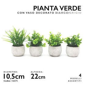 PIANTA VERDE D.10,5 H22CM