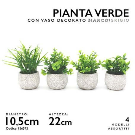 PIANTA VERDE D.10,5 H22CM