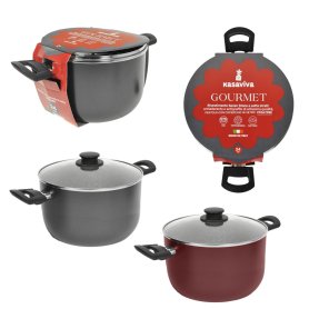 PENTOLA 24CM C/COP.VETRO GOURMET