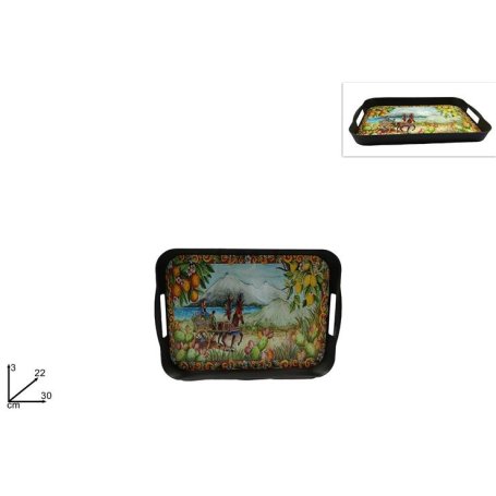 VASSOIO PL.RETT.30X22 C/CARRETTO