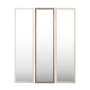SPECCHIO PORTA TORONTO 30X120