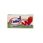 CADOR TOVAGLIOLI 33X33 1V