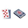 CARTE MAGIC BYKE BLU REGULAR INDEX